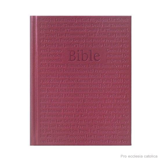 Bible (ČEP DT) - Rodinná