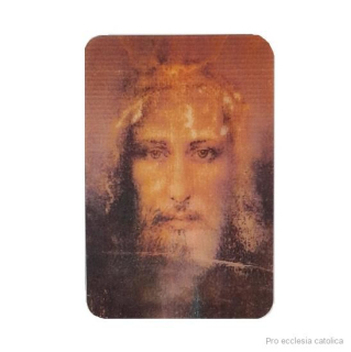 Tvář Krista, Turínské plátno (3D obrázek)