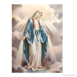 Panna Maria Immaculata (plakát) 15x20